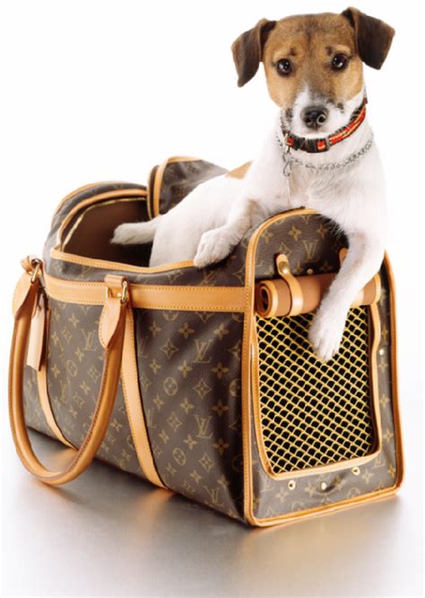 dog pukes on louis vuitton|Louis Vuitton Just Dropped a Bougie Pet Collection Complete .